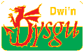 A red dragon on a green and black background<br /> <br /> Description automatically generated